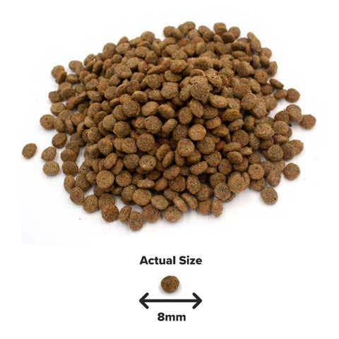 Insect, Sweet Potato and Cranberry Adult Dog Food