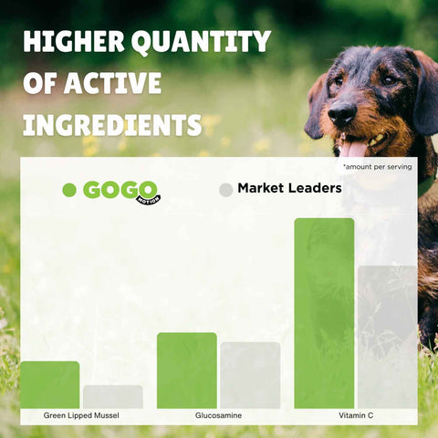 GOGO Joint Care Powder For Dogs