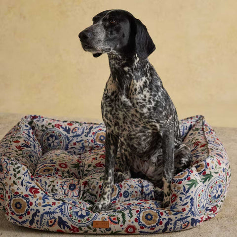 Joules Festival Floral Pet Box Bed