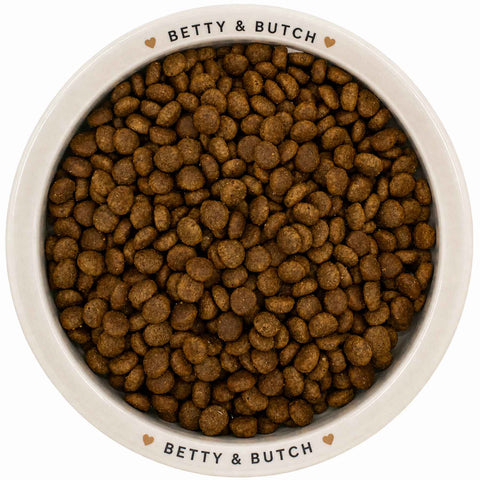Grain-Free Kitten Food | Turkey & Chicken | 70% Meat for Healthy Growth