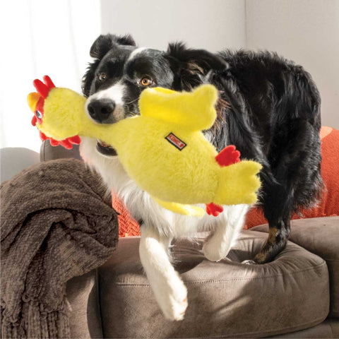 KONG Scruffs Chicken Plush Squeaky Dog Toy – Long Neck Play