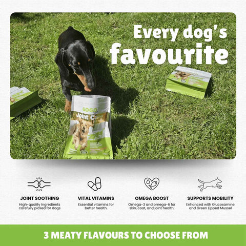 GOGO Joint Care Powder For Dogs
