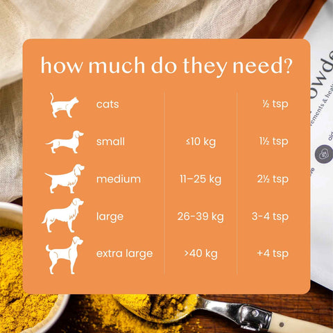 Fettle Pumpkin Powder for Dogs | Supports Firmer Stools