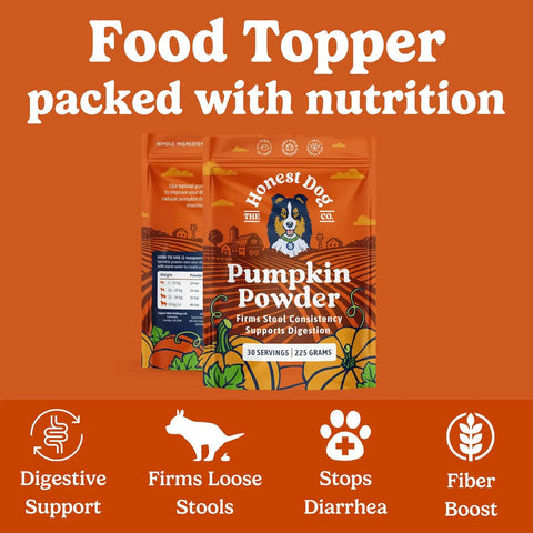 Pumpkin Powder For Dogs | Canned Pumpkin Purée Alternative