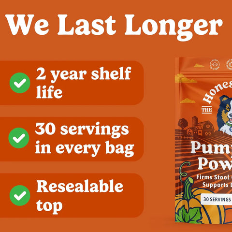 Pumpkin Powder For Dogs | Canned Pumpkin Purée Alternative