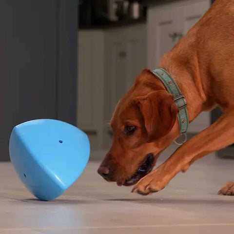 Roolo Treat Dispensing Toy | Enrichment Puzzle Feeder