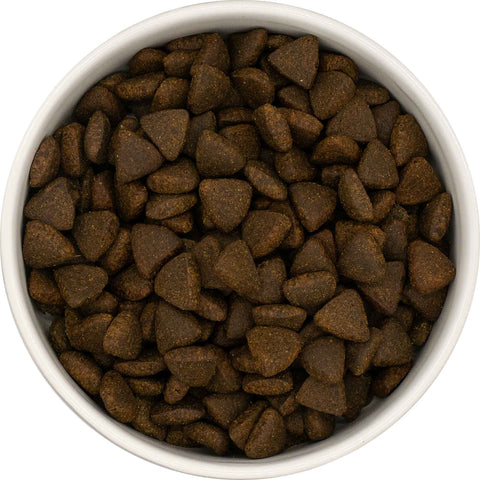Scottish Salmon Superfood Adult Dog Food