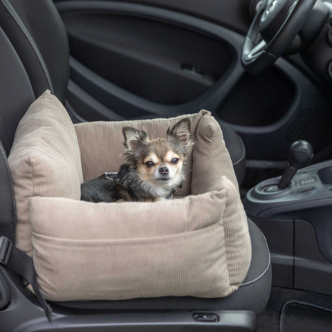 Small dog in a beige pet seat in a car