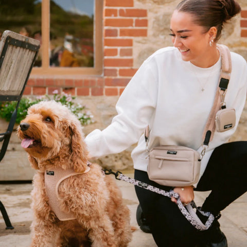 Woman with a dog in a soft harness in an outdoor setting