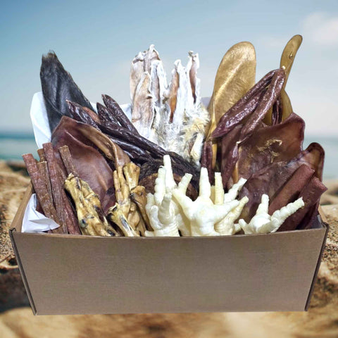 ☀️ Summer Special Treat Box | 57 Natural Dog Treats