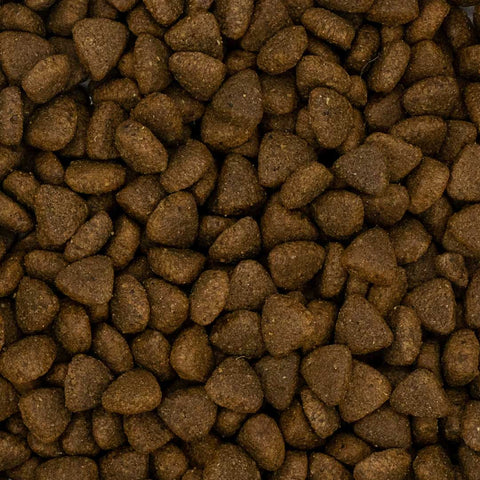 Betty & Butch Superfood Puppy Food - Turkey With Vegetables