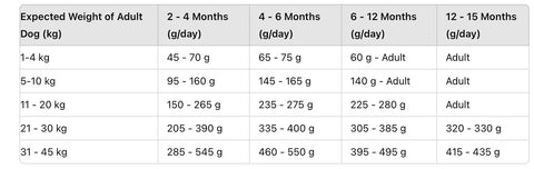 Betty & Butch Superfood Puppy Food - Turkey With Vegetables