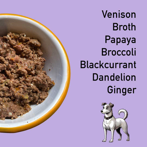 Bowl of dog food with ingredients listed on a purple background