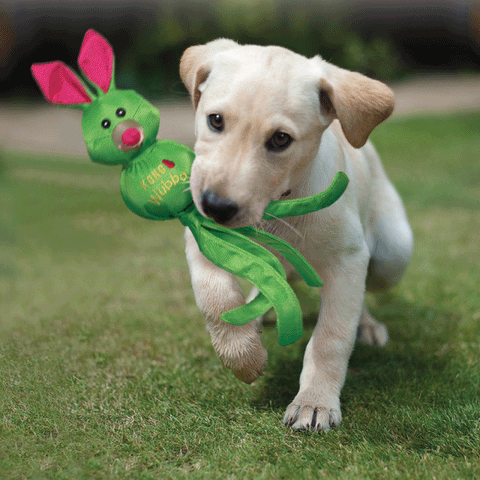 KONG Wubba Ballistic Friend Large