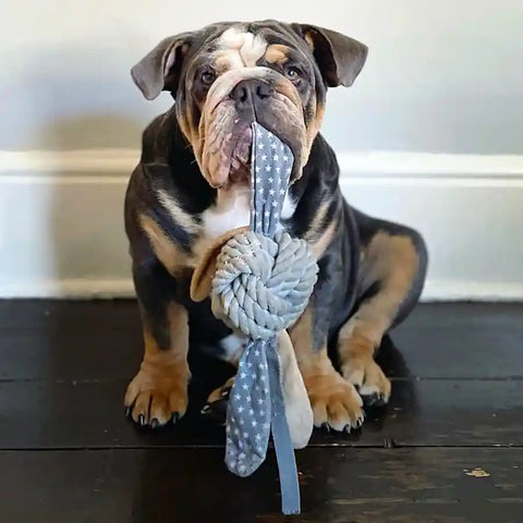 Heritage Durable Rabbit Rope Ball Dog Toy for Tough Play - BETTY & BUTCH®