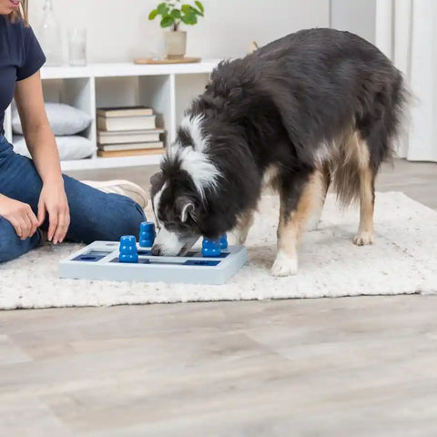 Dog Activity Chess Strategy Game - Interactive Dog Puzzle Game - BETTY & BUTCH®