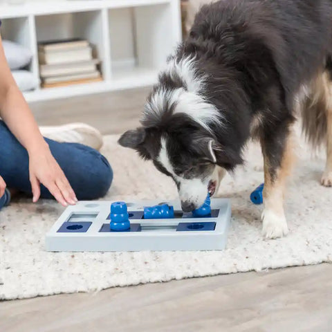 Dog Activity Chess Strategy Game - Interactive Dog Puzzle Game - BETTY & BUTCH®